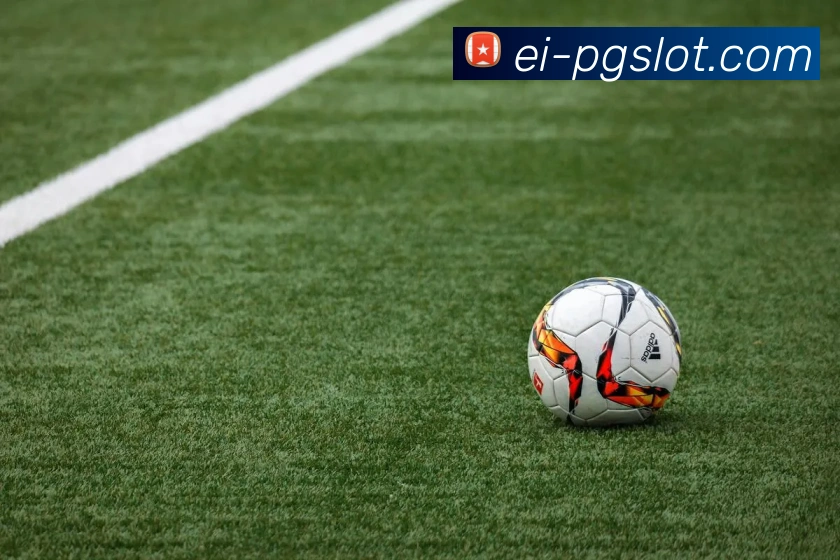 PG电子官网平台生态图